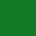 Mint green <br> RAL 6029